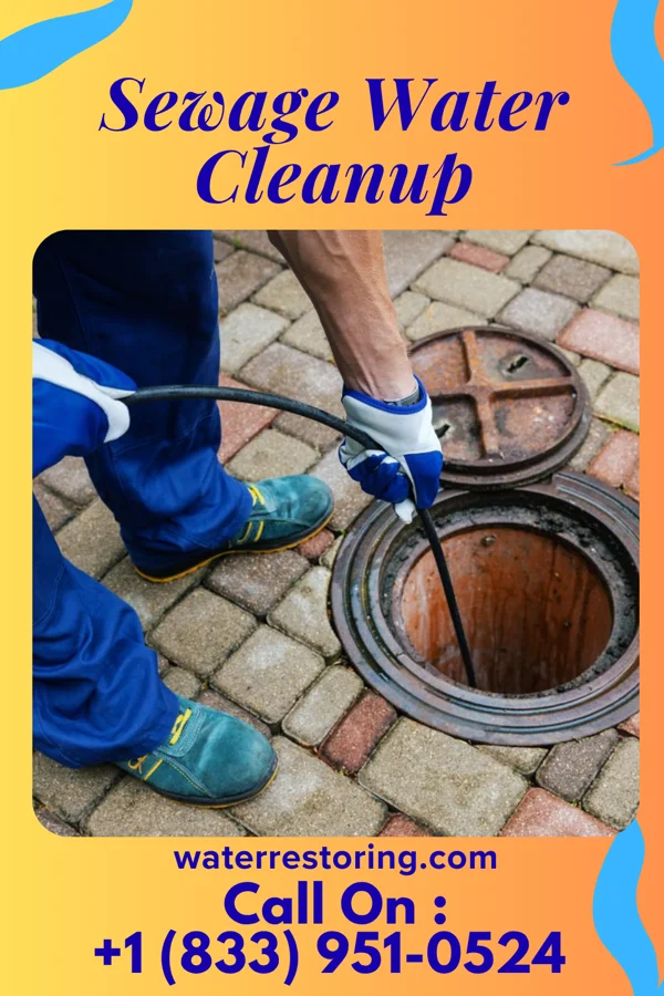 Sewage Water Cleanup in Eldon, IA